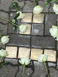 stolpersteine 09-11-2024 b